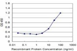 CART1 Antibody (2A10), Novus Biologicals 0.1 mg | Buy Online | Novus Biologicals | Fisher Scientific