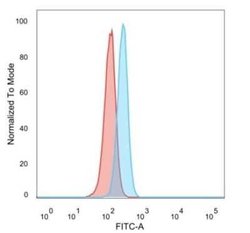 CBFB Mouse anti-Human, Clone: PCRP-CBFB-1E6, Novus Biologicals 20 &mu;g;