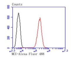 CCDC109A Antibody, Novus Biologicals 100 &mu;g, Unconjugated:Antibodies,