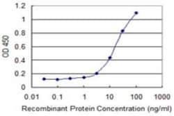 CCL1/I-309/TCA-3 Antibody (4E4), Novus Biologicals 0.1 mg, Unconjugated:Antikörper