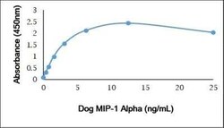 CCL3/MIP-1 alpha Antibody, Novus Biologicals 0.1 mg; Unconjugated:Anticorps,