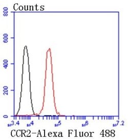 CCR2 Antibody (SN707), Novus Biologicals 100&mu;L:Antibodies, Monoclonal