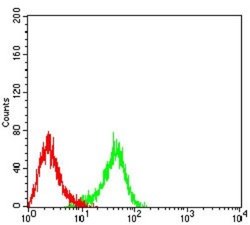 CCR3 Antibody (8E9H10) - BSA Free, Novus Biologicals 0.1 ml; Unconjugated:Antibodies,