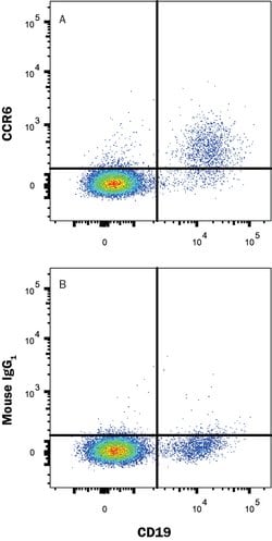 Human CCR6 Antibody, R D Systems 25 ug; Unconjugated:Antibodies, Monoclonal