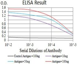 CCR7 Antibody (4B7B8) - BSA Free, Novus Biologicals 0.1 ml; Unconjugated:Antibodies,