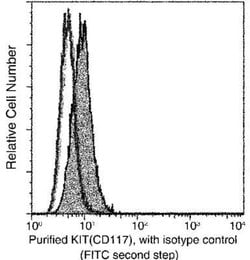 CD117/c-kit Rabbit anti-Human, Clone: 7, Novus Biologicals:Antibodies:Primary
