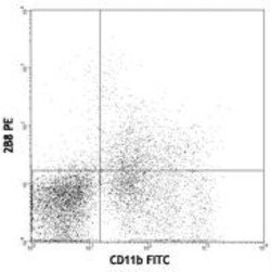 CD117/c-kit Antibody (2B8) - BSA Free, Novus Biologicals 0.1mg; Unlabeled:Antibodies,