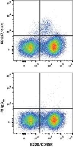 CD117/c-kit Antibody (2B8) - BSA Free, Novus Biologicals 0.1mg; Unlabeled:Antibodies,