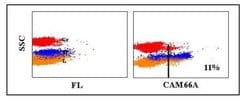 CD14 Antibody (CAM66A), Novus Biologicals 0.1mg:Antibodies, Monoclonal
