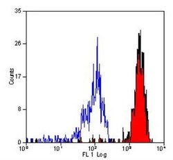 CD14 Antibody (TUK4) - BSA Free, Novus Biologicals:Antibodies:Primary Antibodies