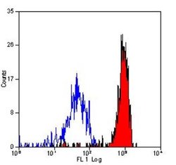 CD14 Antibody (TUK4) - BSA Free, Novus Biologicals:Antibodies:Primary Antibodies