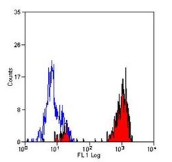 CD14 Antibody (TUK4) - BSA Free, Novus Biologicals:Antibodies:Primary Antibodies
