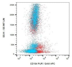 CD164 Antibody (67D2) - BSA Free, Novus Biologicals 0.1 mg; Unconjugated:Antibodies,
