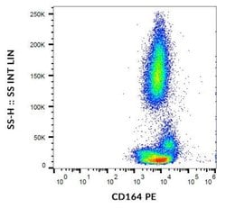 CD164 Antibody (67D2) - BSA Free, Novus Biologicals 0.1 mg; Unconjugated:Antibodies,