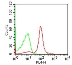 CD19 Antibody (1D3) - Azide and BSA Free, Novus Biologicals 100 ug; Unconjugated:Antibodies,
