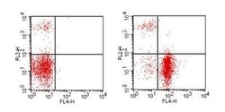 CD19 Antibody (1D3) - Azide and BSA Free, Novus Biologicals 100 ug; Unconjugated:Antibodies,