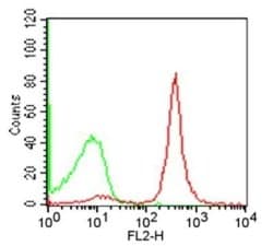 CD19 Antibody (1D3) - Azide and BSA Free, Novus Biologicals 100 ug; Unconjugated:Antibodies,
