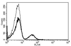 CD19 Antibody (B-C3), Novus Biologicals 2 mL | Buy Online | Novus Biologicals | Fisher Scientific