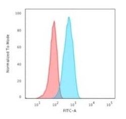 CD19 Antibody (CVID3/155), Novus Biologicals:Antibodies:Primary Antibodies