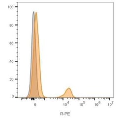 CD19 Antibody (CVID3/155), Novus Biologicals:Antibodies:Primary Antibodies