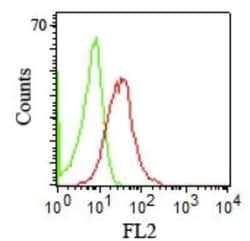 CD1b Antibody (RIV12) - Azide and BSA Free, Novus Biologicals 0.1 mg; Unconjugated:Antibodies,