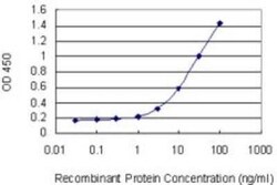 CD1c/BDCA-1 Antibody (4B11), Novus Biologicals 0.1 mg | Buy Online | Novus Biologicals | Fisher Scientific