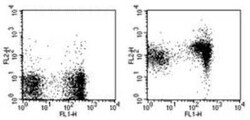CD1d Antibody (1B1) - BSA Free, Novus Biologicals:Antibodies:Primary Antibodies