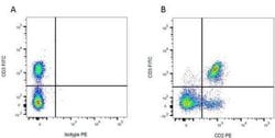 CD2 Antibody (OX-34) - BSA Free, Novus Biologicals 250 &mu;g; Unconjugated:Antibodies,