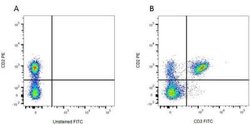 CD2 Antibody (OX-34) - BSA Free, Novus Biologicals 250 &mu;g; Unconjugated:Antibodies,