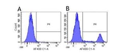 CD20 Antibody (10F381 (rituximab)) - Azide and BSA Free, Novus Biologicals:Antibodies:Primary