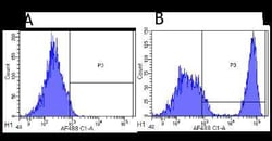 CD20 Antibody (10F381 (rituximab)) - Azide and BSA Free, Novus Biologicals:Antibodies:Primary