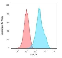 CD20 Antibody (rIGEL/773), Novus Biologicals:Antibodies:Primary Antibodies