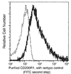 CD200R1 Rabbit anti-Mouse, Clone: 181, Novus Biologicals:Antibodies:Primary