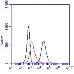 CD200R3 Antibody (Ba91), Novus Biologicals 50 &mu;g; Unconjugated:Antibodies,