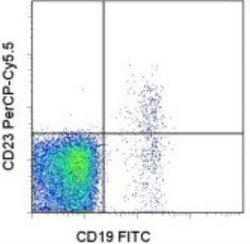 CD23/Fc epsilon RII Antibody (EBVCS2), Novus Biologicals:Antibodies:Primary