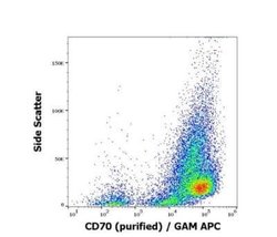 CD27 Ligand/TNFSF7/CD70 Antibody (Ki-24) - BSA Free, Novus Biologicals