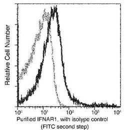 CD27/TNFRSF7 Rabbit anti-Mouse, Clone: 12, Novus Biologicals:Antibodies:Primary