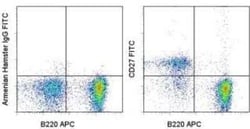 CD27/TNFRSF7 Antibody (LG.7F9) - BSA Free, Novus Biologicals:Antibodies:Primary