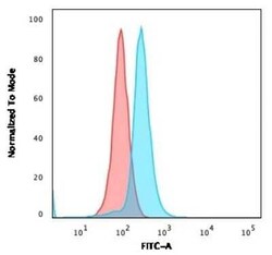 CD27/TNFRSF7 Antibody (LPFS2/1611), Novus Biologicals:Antibodies:Primary