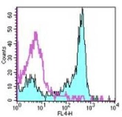 CD27/TNFRSF7 Antibody (O323), Novus Biologicals:Antibodies:Primary Antibodies
