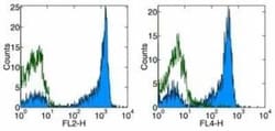 CD27/TNFRSF7 Antibody (O323), Novus Biologicals:Antibodies:Primary Antibodies