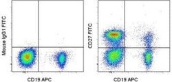 CD27/TNFRSF7 Antibody (O323), Novus Biologicals:Antibodies:Primary Antibodies