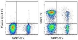 CD27/TNFRSF7 Antibody (O323), Novus Biologicals:Antibodies:Primary Antibodies