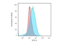 CD28 Antibody (C28/1636), Novus Biologicals:Antibodies:Primary Antibodies