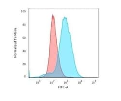 CD28 Antibody (CB28) - Azide and BSA Free, Novus Biologicals 0.1 mg | Buy Online | Novus Biologicals | Fisher Scientific