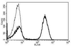 CD3 Antibody (B-B11), Novus Biologicals 2 mL | Buy Online | Bio-Techne | Fisher Scientific