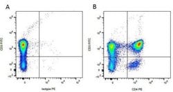 CD3 Mouse anti-Canine, Clone: CA17.2A12, Novus Biologicals:Antibodies:Primary