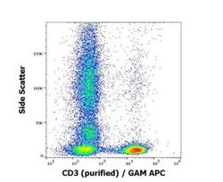 CD3 Antibody (SK7) - BSA Free, Novus Biologicals 0.1 mg | Buy Online | Novus Biologicals | Fisher Scientific