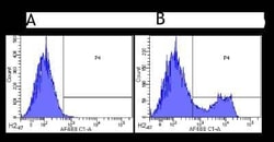 CD3 epsilon Antibody (500A2) - Chimeric - Azide and BSA Free, Novus Biologicals:Antibodies:Primary