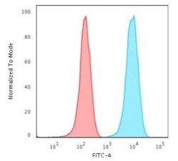 CD3 epsilon Antibody (B-B12) - Azide and BSA Free, Novus Biologicals 0.1